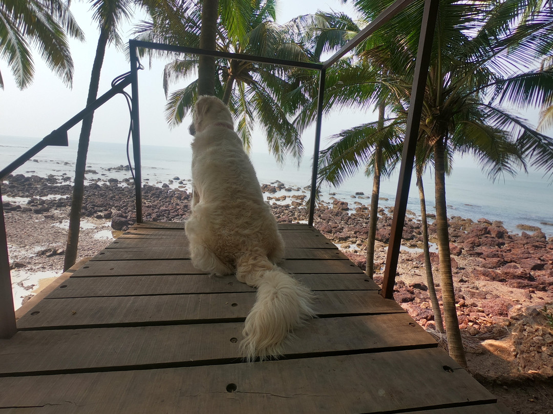 Belantara Beach Front主图