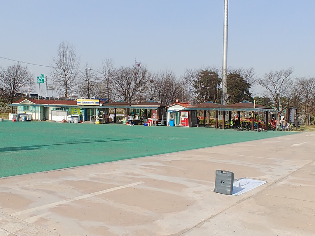 Guri Hangang Park (Cosmos Park)景点图片