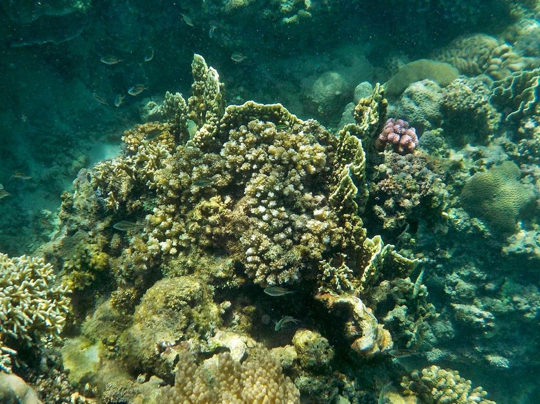 Long Beach-葡多咖蕾拉必去景点