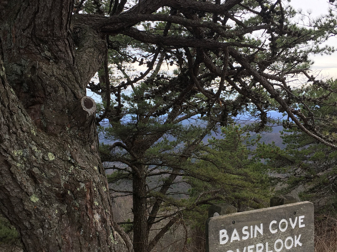 Doughton Park Campground and National Recreation Area景点图片