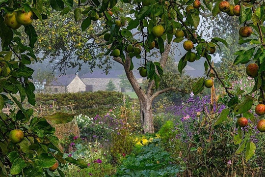 tourismcraze-佛罗里达城必去景点