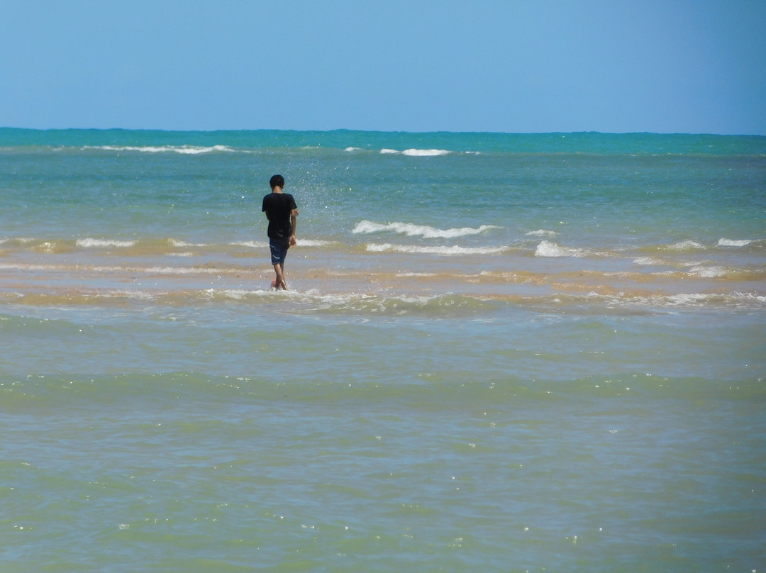 Areia Vermelha Marine State Park景点图片