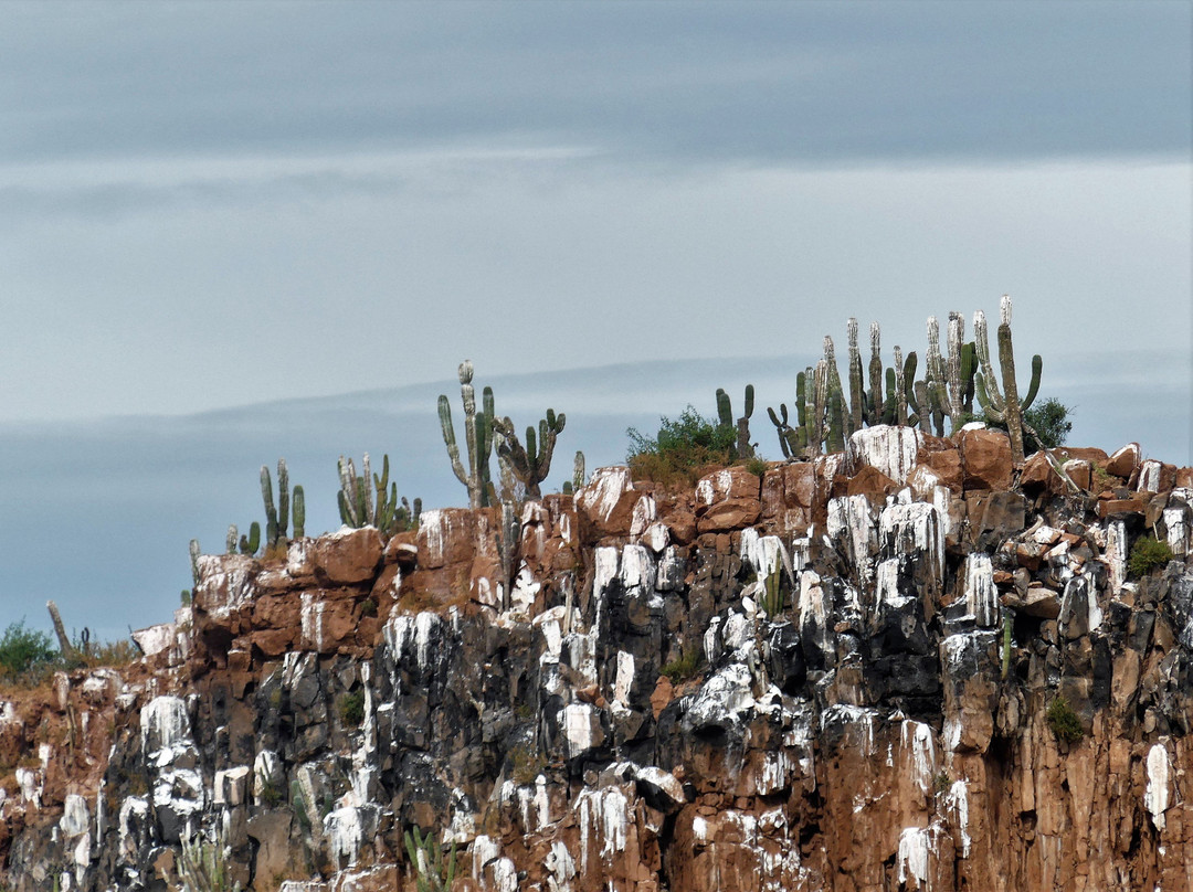 El Duque Adventures-拉巴斯必去景点