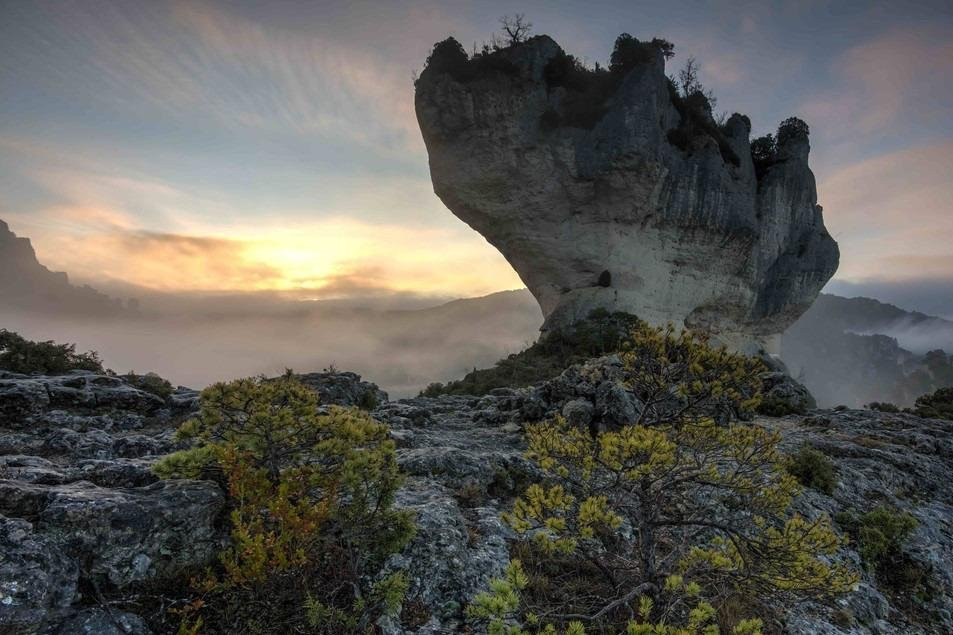Bureau des moniteurs des Cévennes-Creissels必去景点