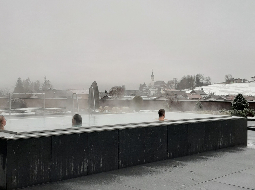 Hotel Edelweiss主图