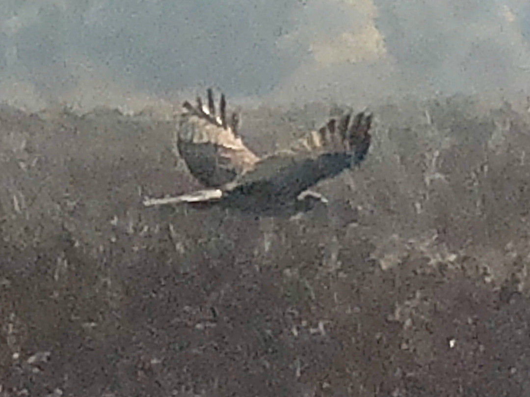 Cosumnes River Preserve-Galt必去景点