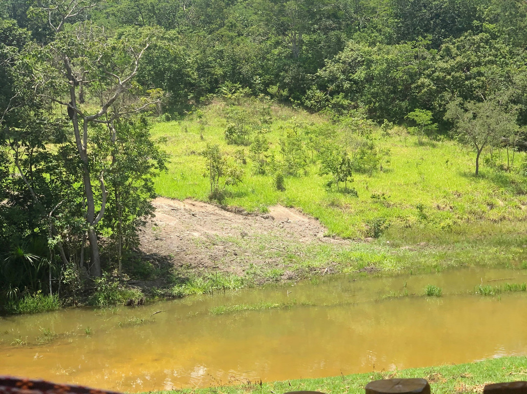 Cachoeira Paraíso-Pirenopolis必去景点