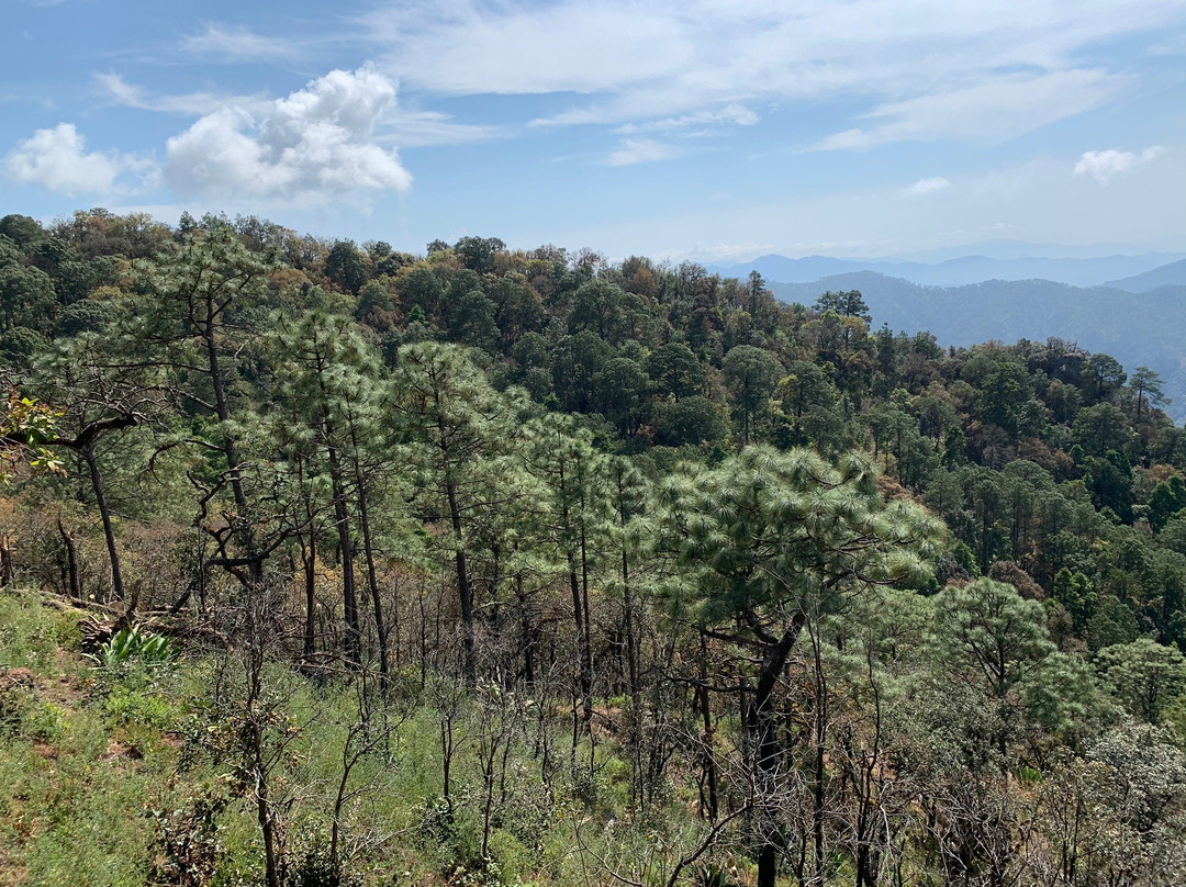 Mirado La Bufa-San Sebastian del Oeste必去景点