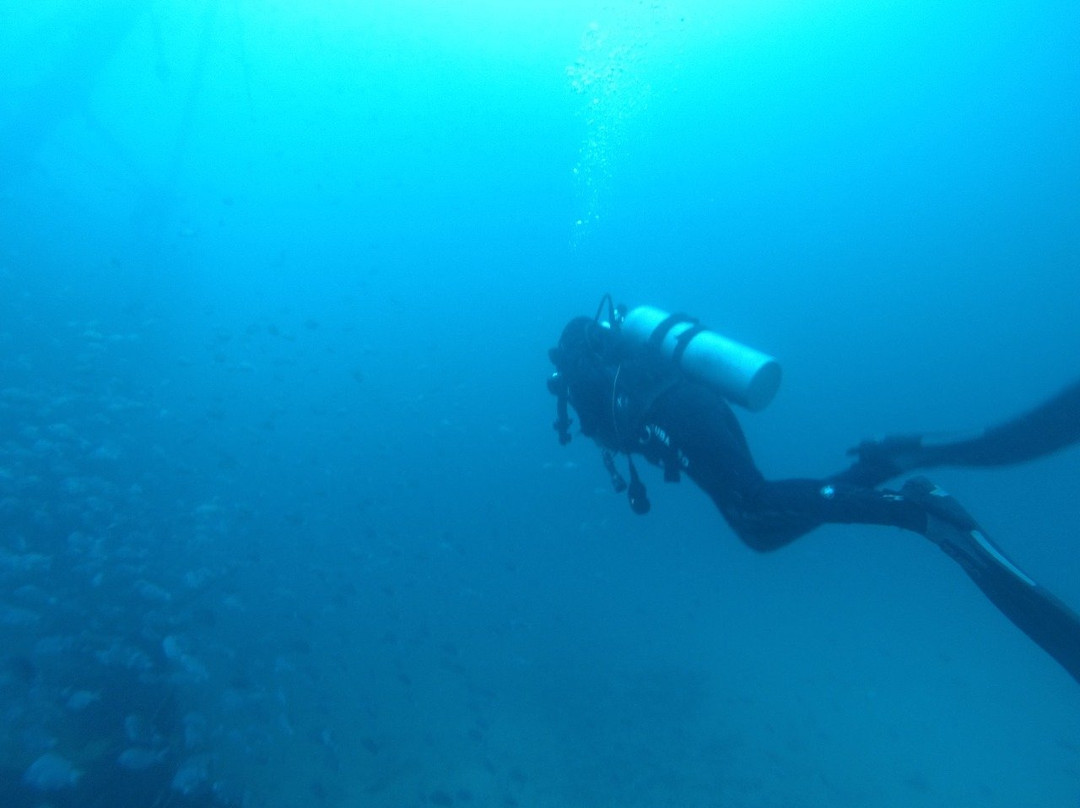 Atacama Diving Centro de Buceo-Bahia Inglesa必去景点