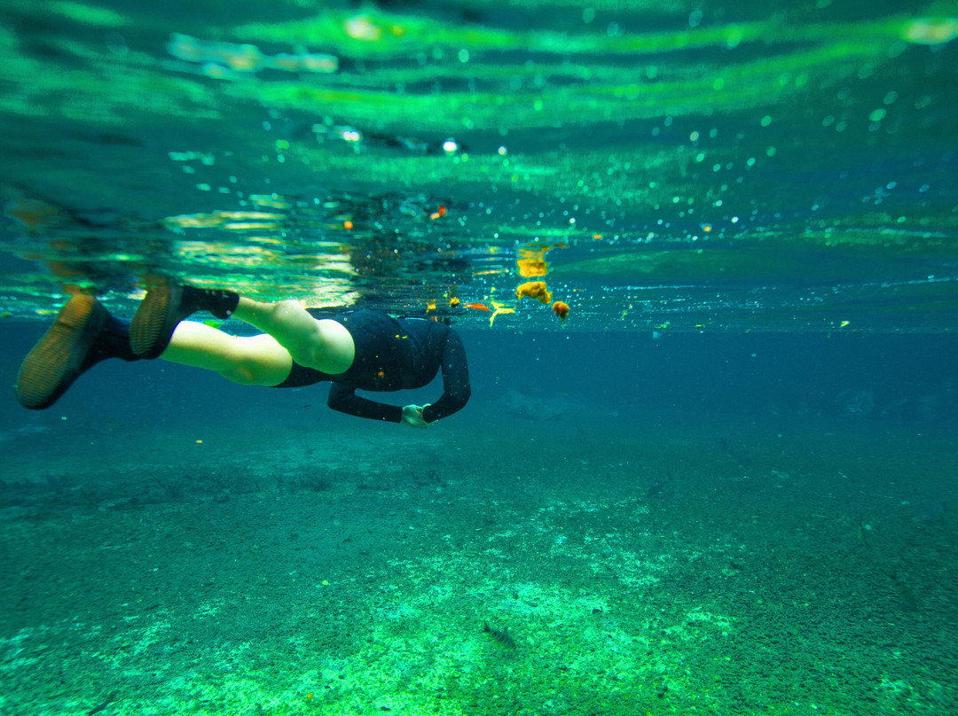 Boutique Travel Experts-大坎普市必去景点