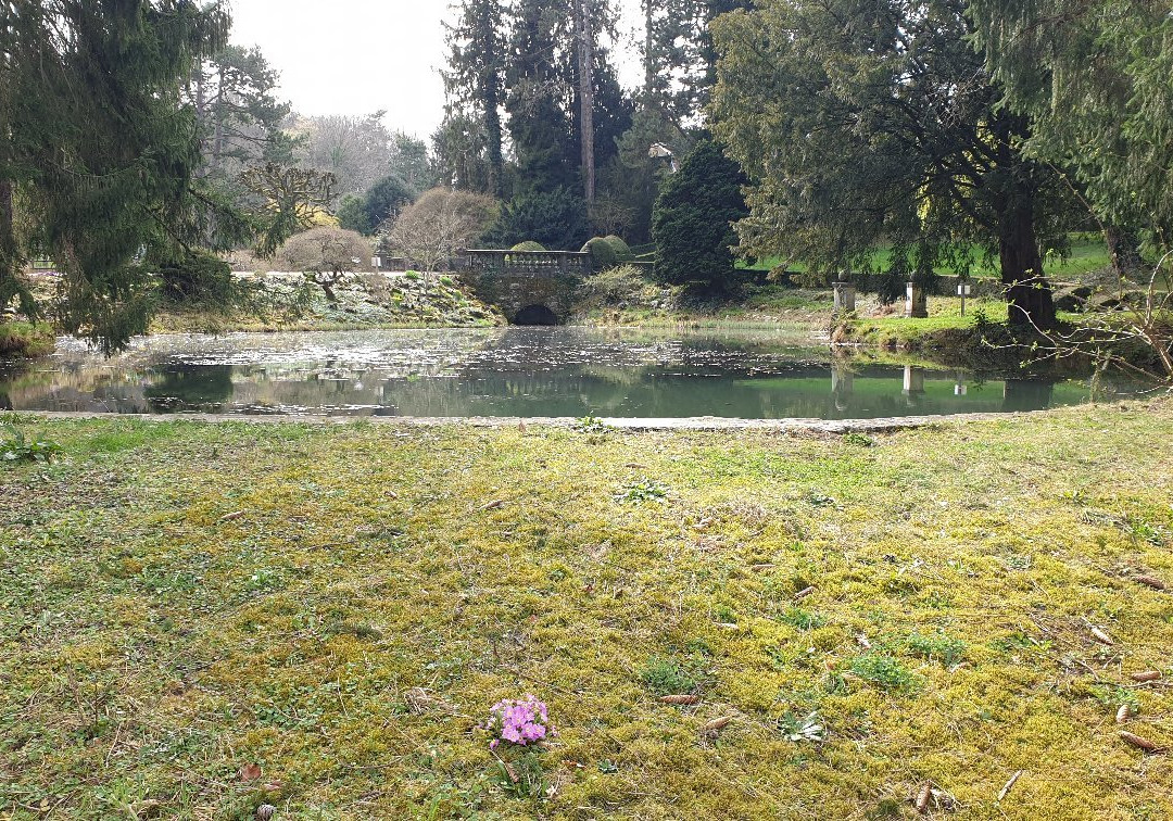Wenken Park-Riehen必去景点