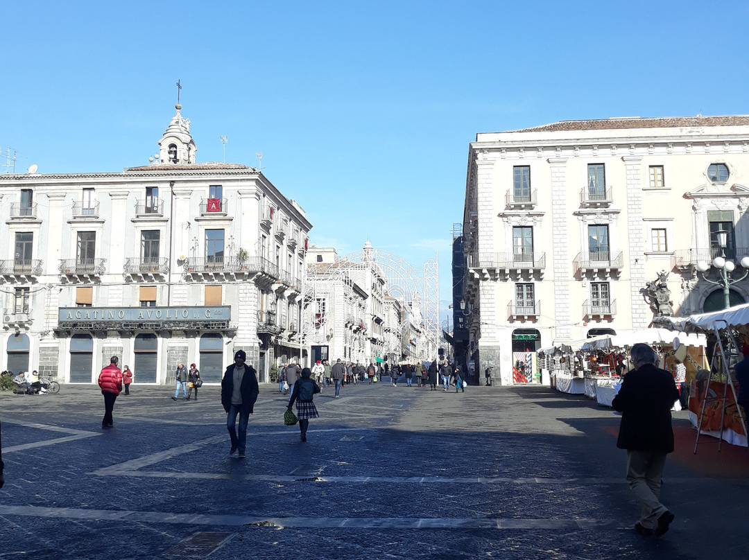 Piazza Università景点图片