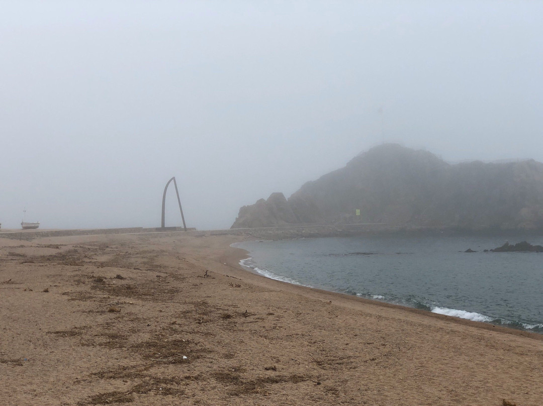 Portal de la Costa Brava景点图片