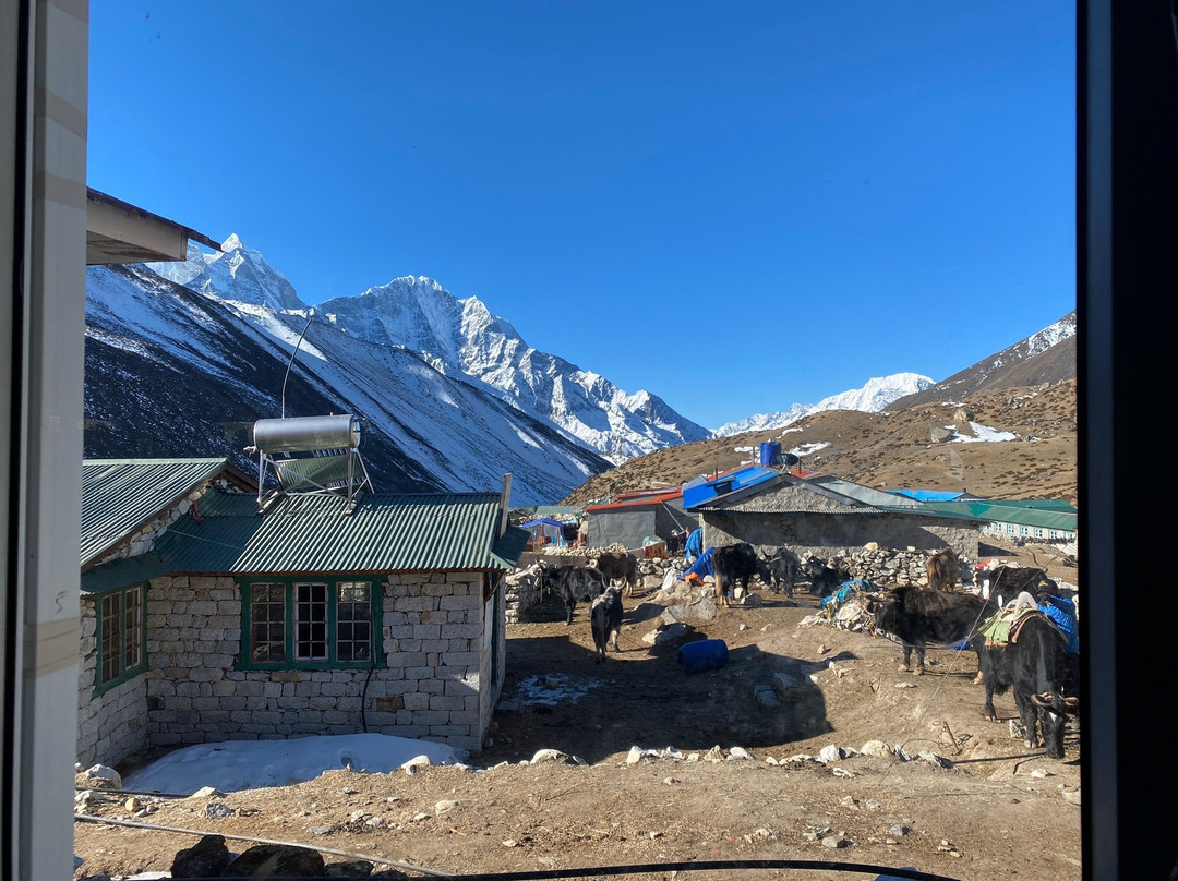 Hotel Tashi Delek