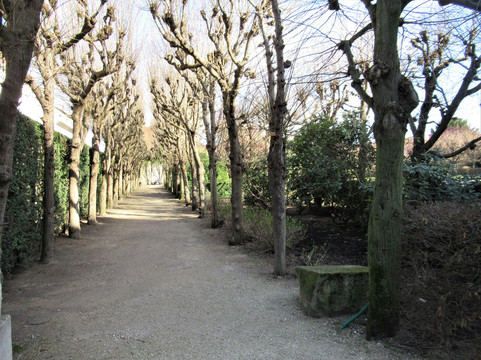 Jardin Bossuet-莫城必去景点