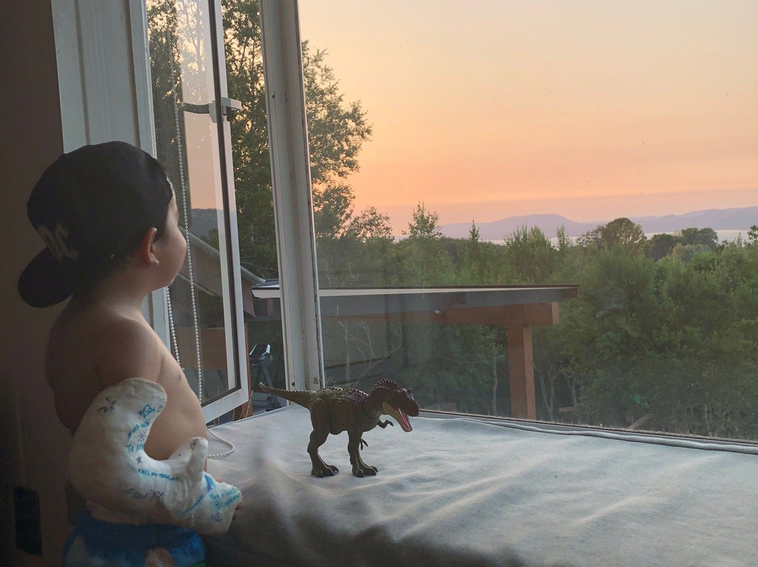 Hotel BambuLodge主图