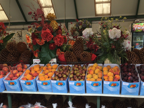 Mrs Jones Fruit Orchard-克伦威尔镇必去景点