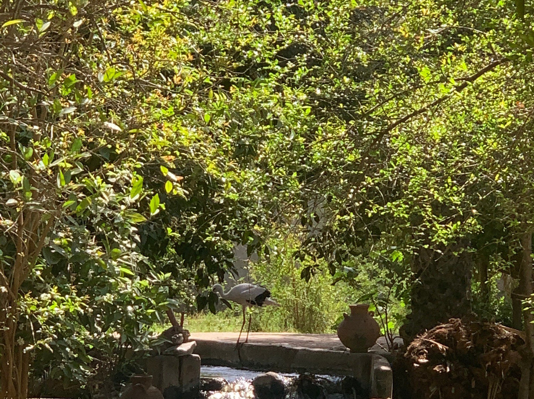 Abdou Taxi 404 Agadir-阿加迪尔必去景点