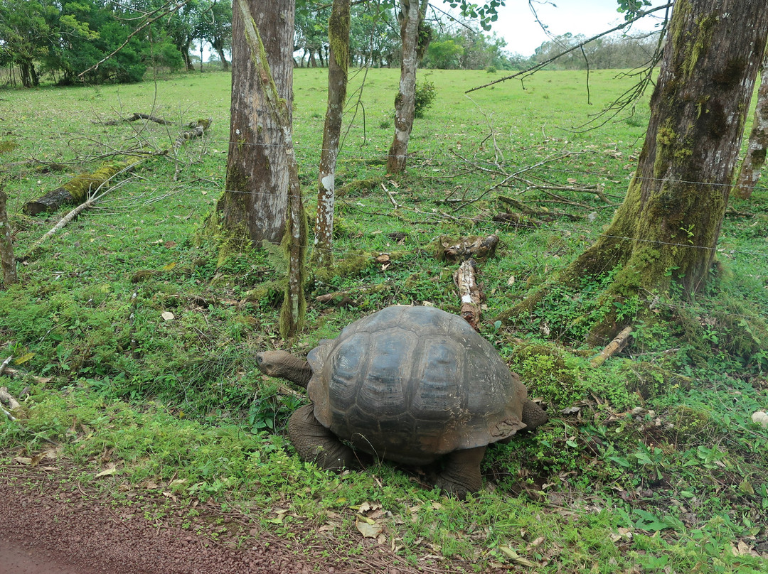 Rancho El Manzanillo-阿约拉港必去景点