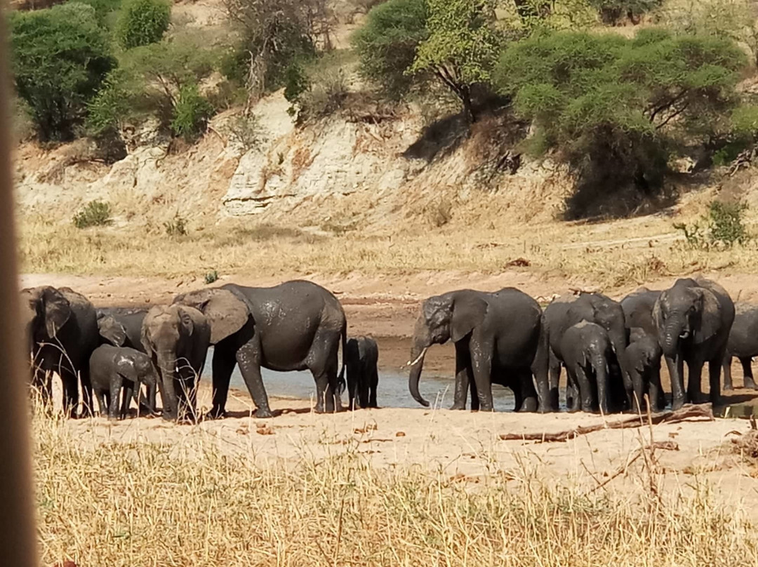 Expedition Africa-阿鲁沙必去景点