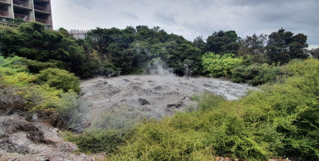 Whakarewarewa Geothermal Valley景点图片