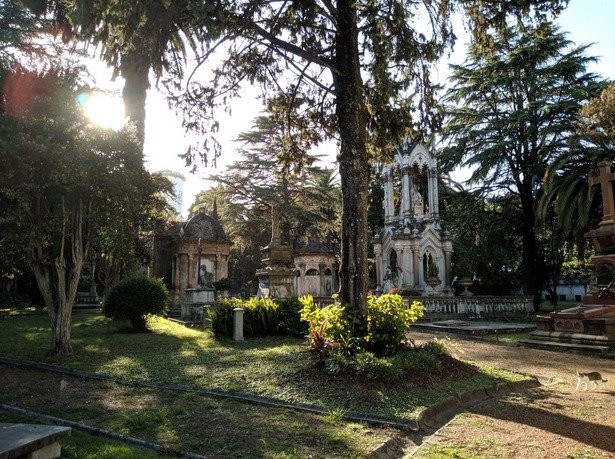 Cementerio de Paysandu-Paysandu必去景点