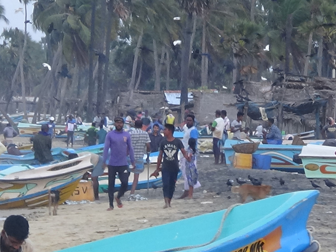 Mannar Island Lighthouse-Talaimannar必去景点