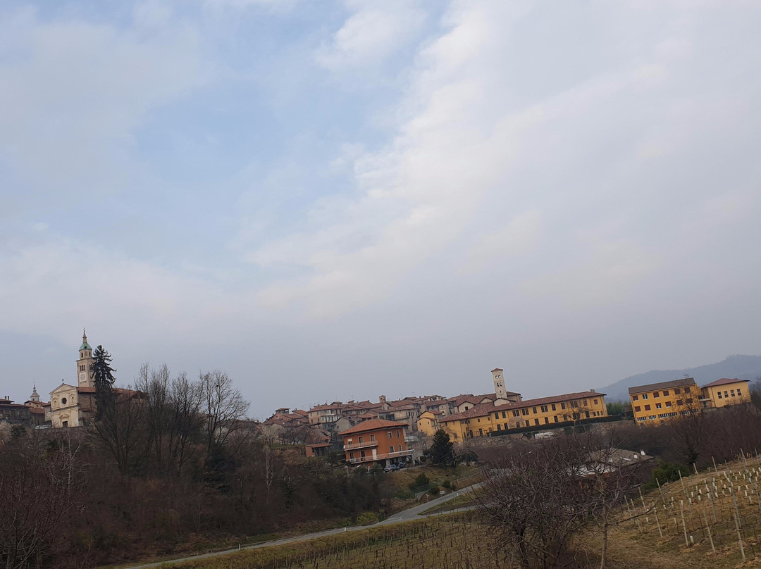 Polo Museale Masseranese景点图片