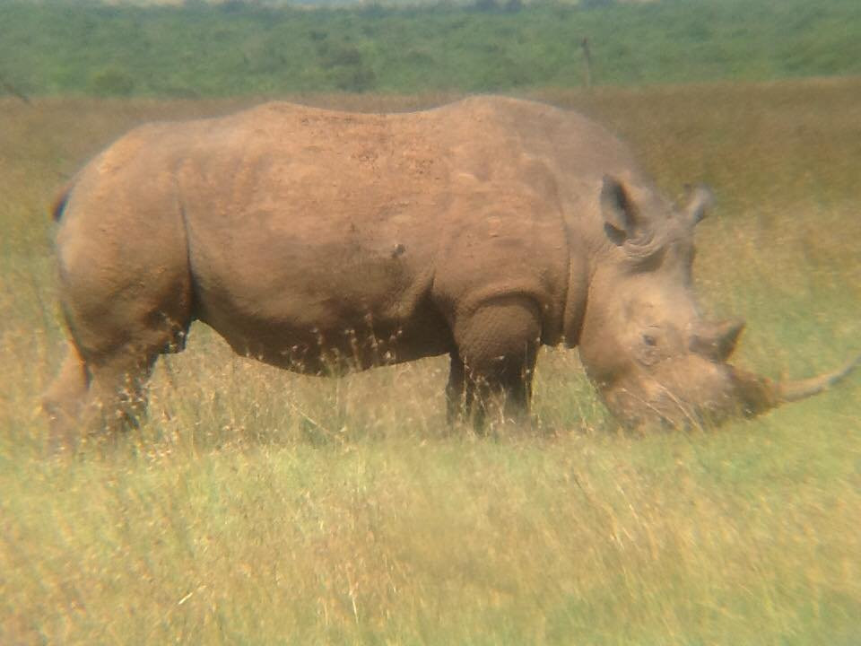 Solio Game Reserve-涅里必去景点