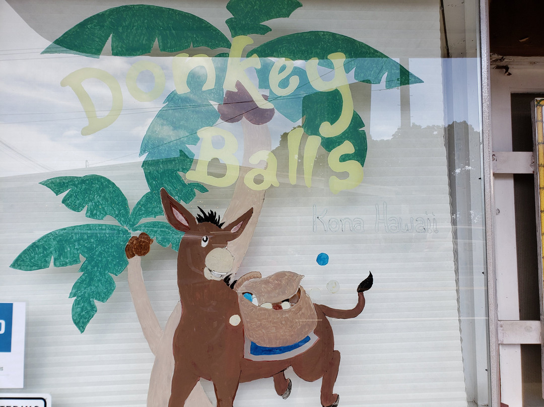 The Original Donkey Ball Store-基亚拉凯库亚必去景点