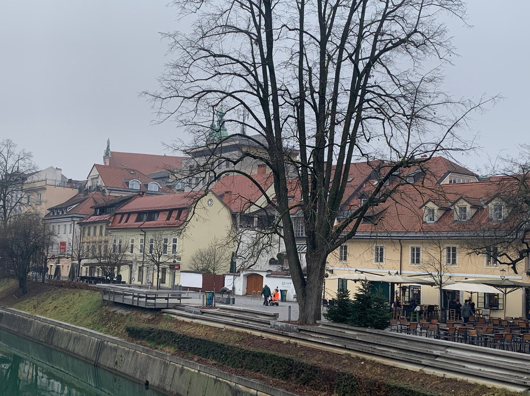 Old Square (Stari trg)-卢布尔雅那必去景点