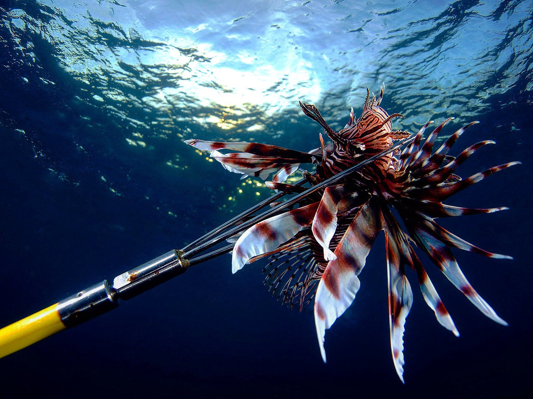 Lagun Blou Dive-Lagun必去景点