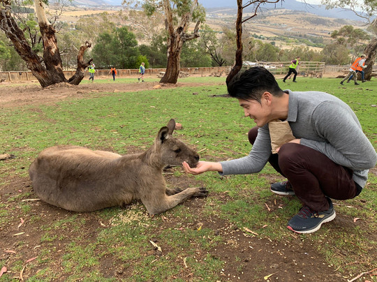 Heart Of Tasmania Tours-霍巴特必去景点