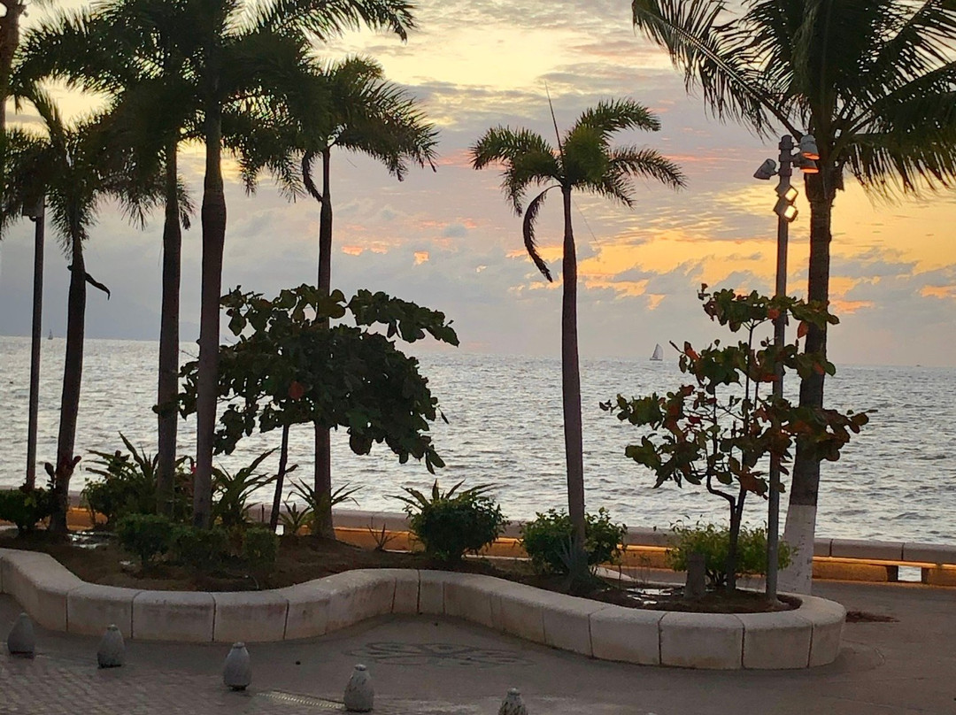 Vallarta Artwalk-瓦拉塔港必去景点