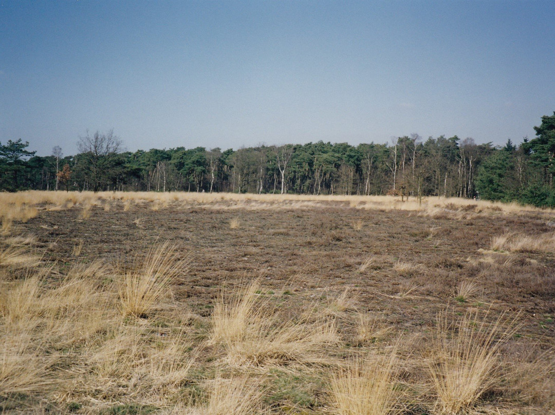 Strabrechtse Heide景点图片