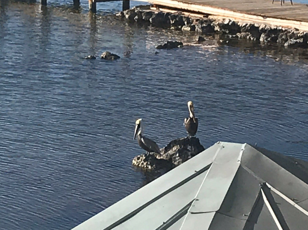 Layton旅游攻略图片