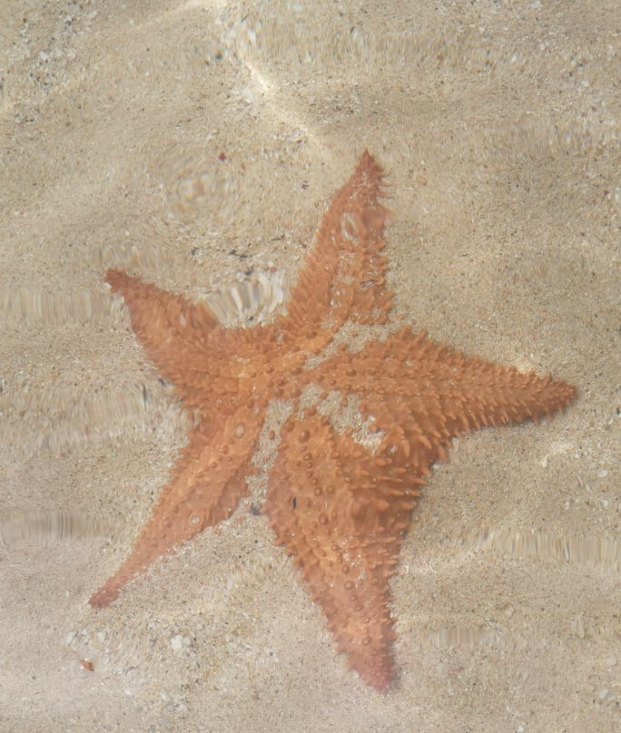 Sea Step And Sun-Petit-Canal必去景点