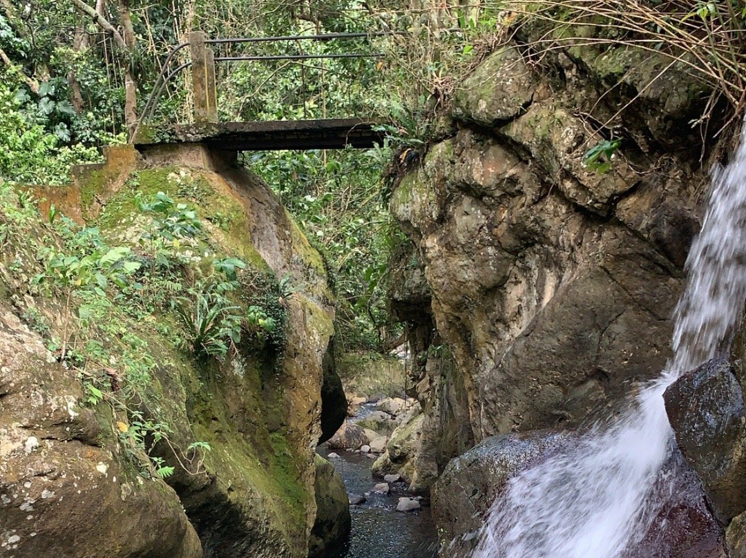 Notre Dame des Larmes-Pointe-Noire必去景点
