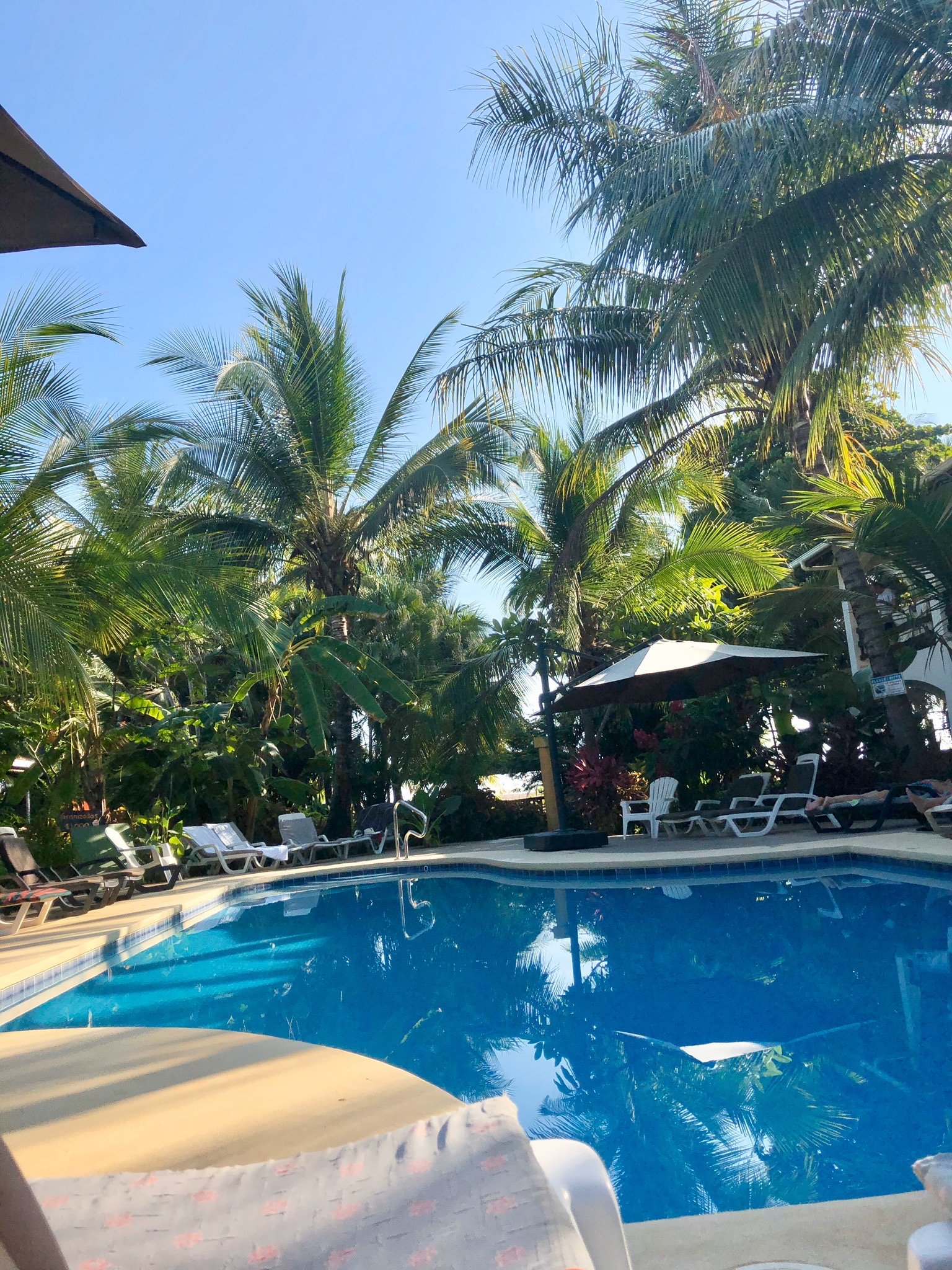Hotel Pochote Grande-官方