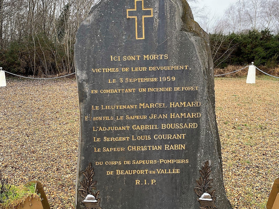 Stele des Sapeurs Pompiers景点图片