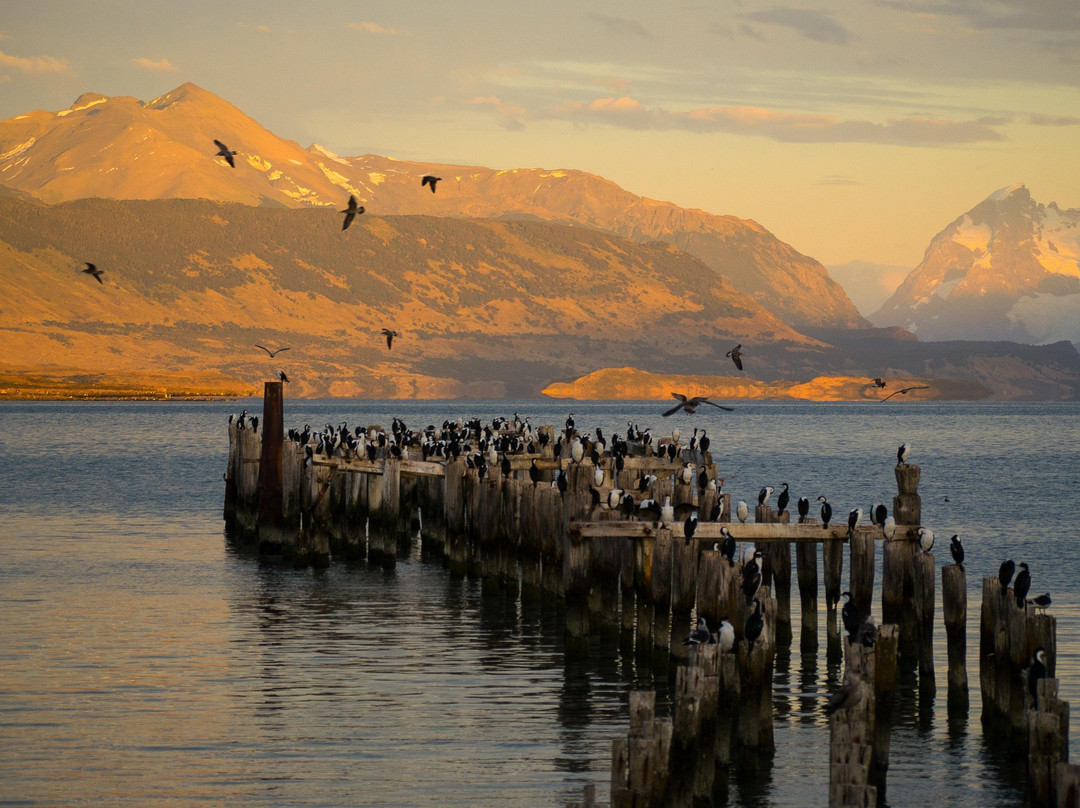 Say Hueque Travel-纳塔莱斯港必去景点