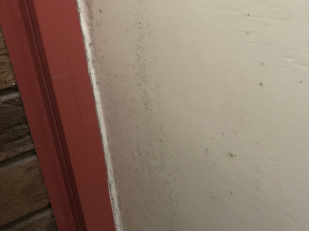 洛恩车夫客栈主图