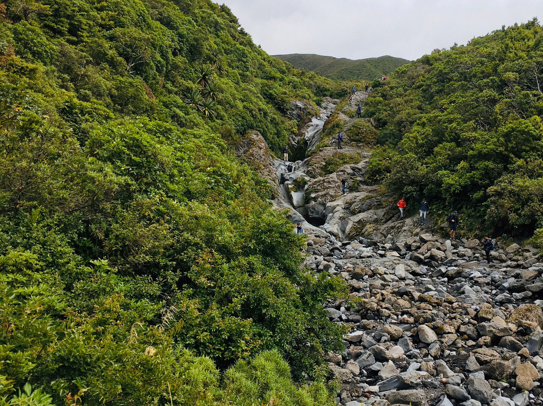 Wilkies Pools Loop Track景点图片
