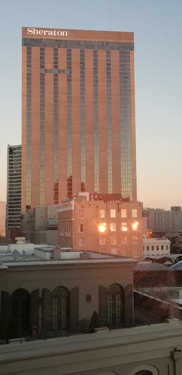 新奥尔良逸林酒店-酒店景观