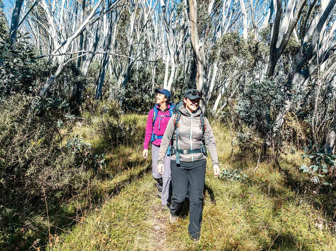 Alpine National Park景点图片