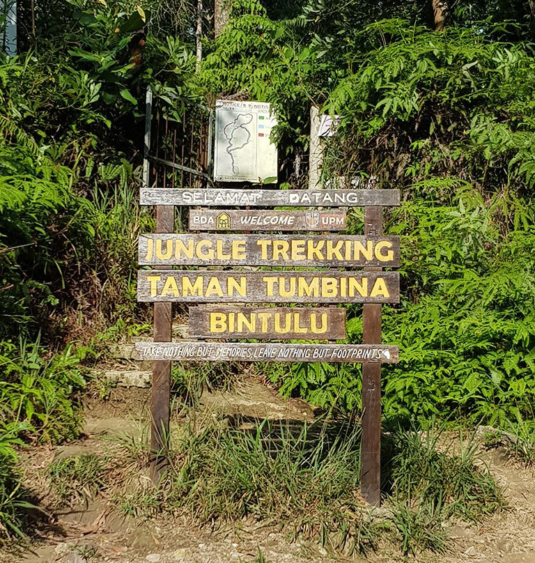 Jungle Trekking Taman Tumbina Bintulu景点图片