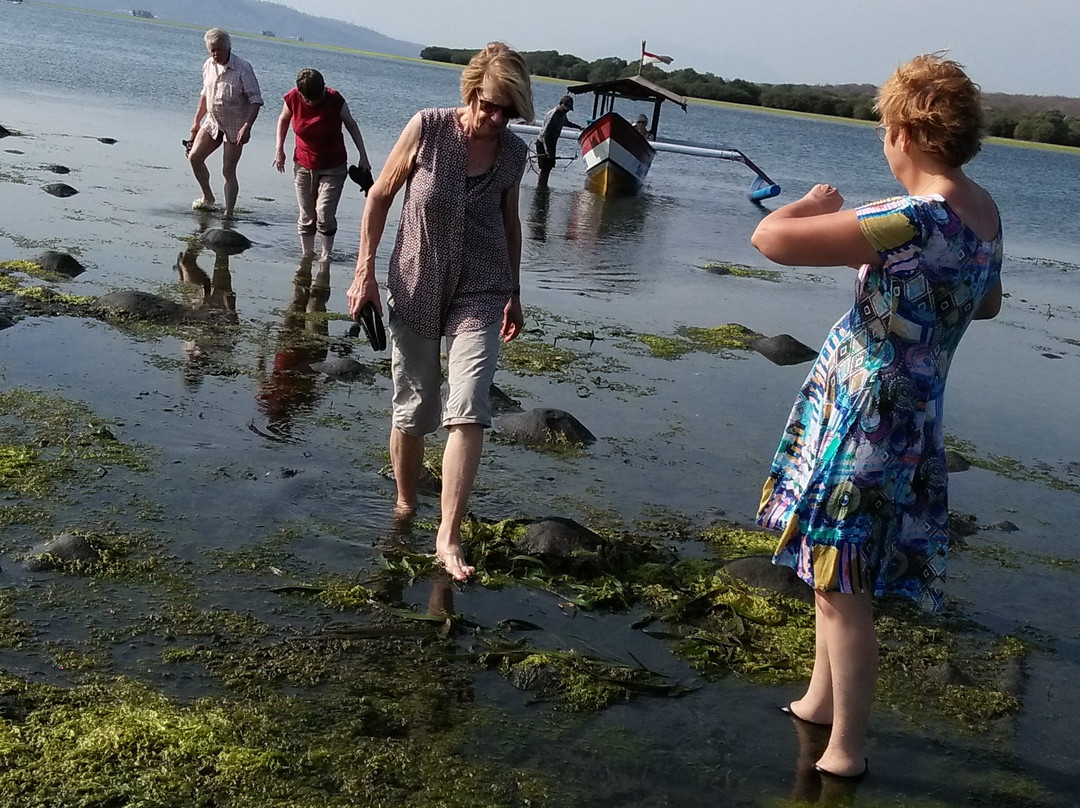 The Arya Guest House主图