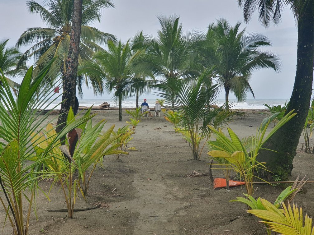 Hotel Playa Westfalia主图