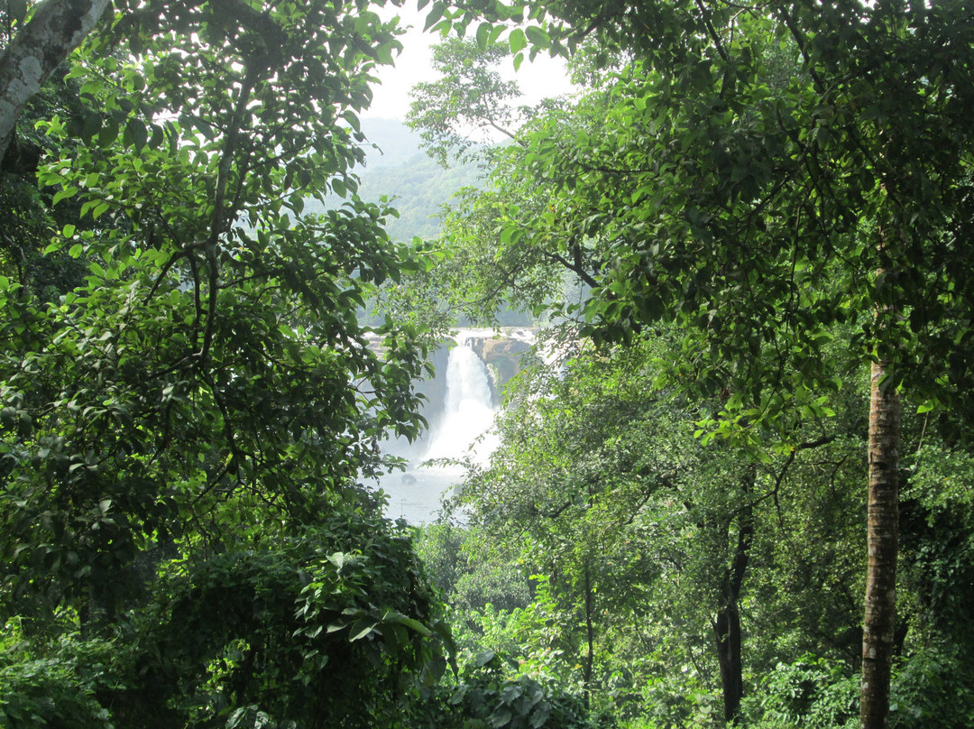 Chalakudy River景点图片