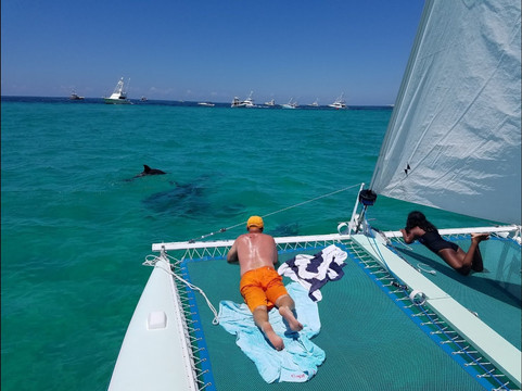 Smile n Wave Sailing Adventures-德斯廷必去景点